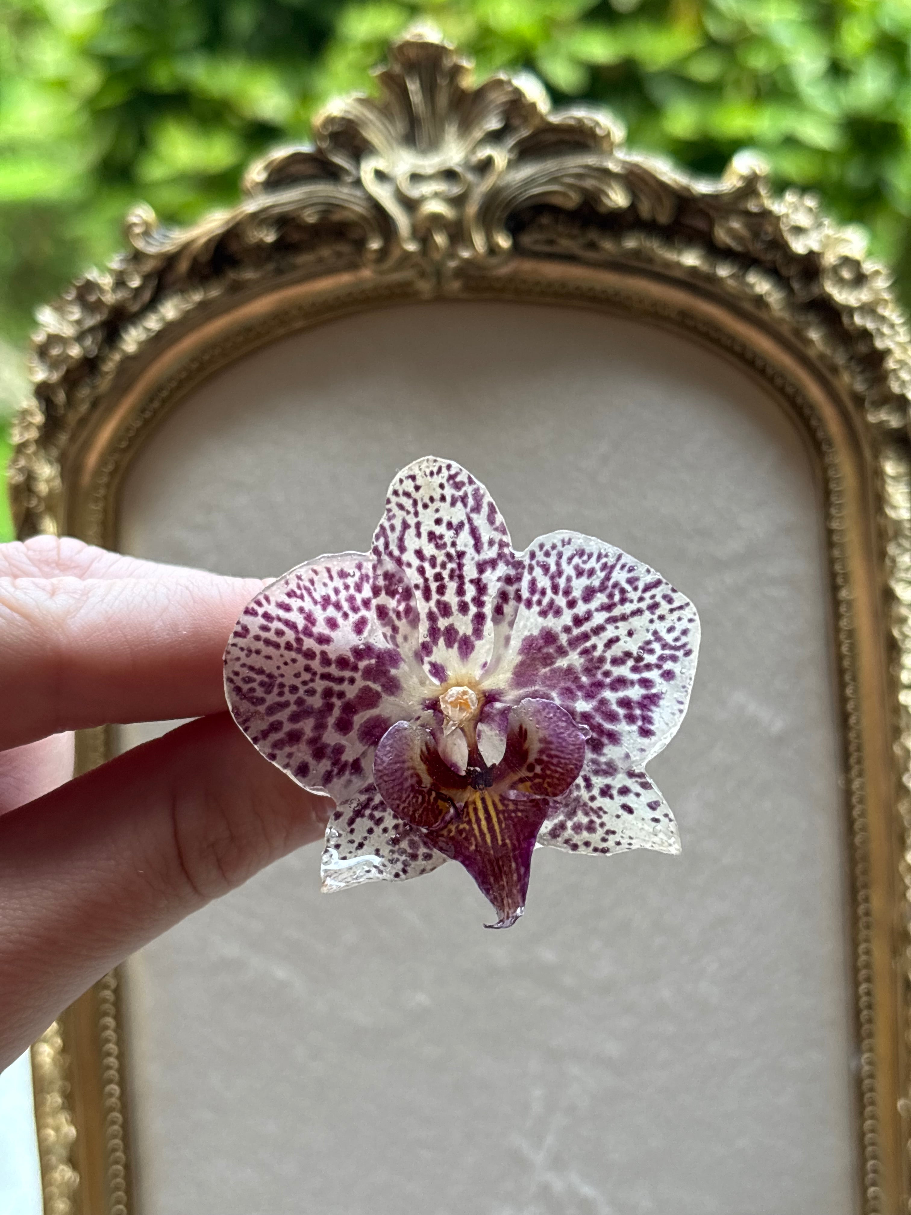Anillo con Flor Real Orquídea Morada | JOYERÍA BOTÁNICA |